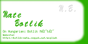 mate botlik business card